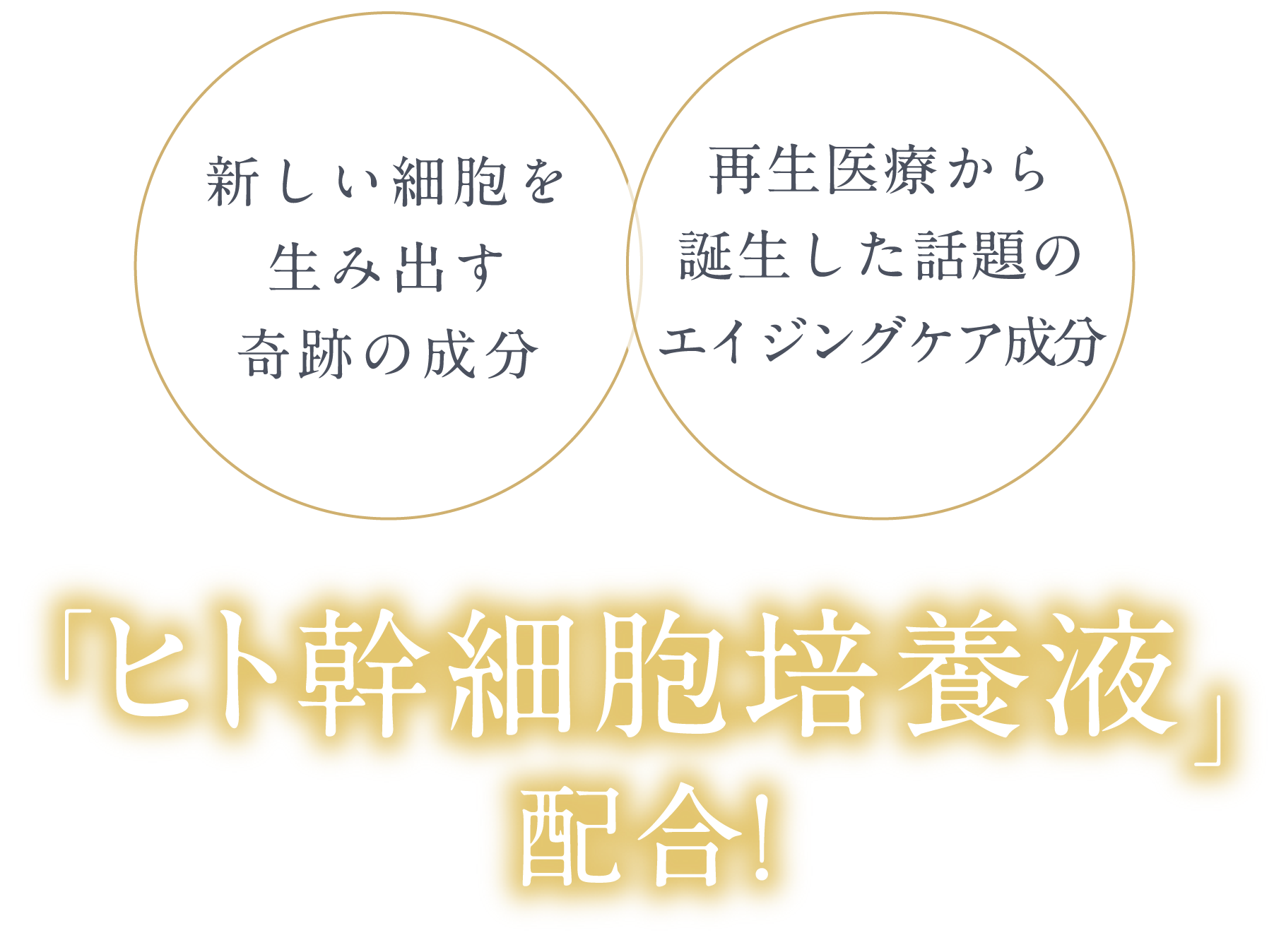 3次元構造のコラーゲンマスクで 業界初!コラーゲン繊維を織り込んだマスク お肌にじわっと浸透!それだけじゃない